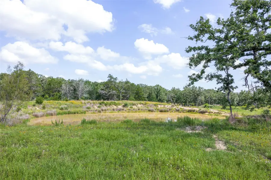 305 Cistern Rd, Rosanky, TX 78953 - #3