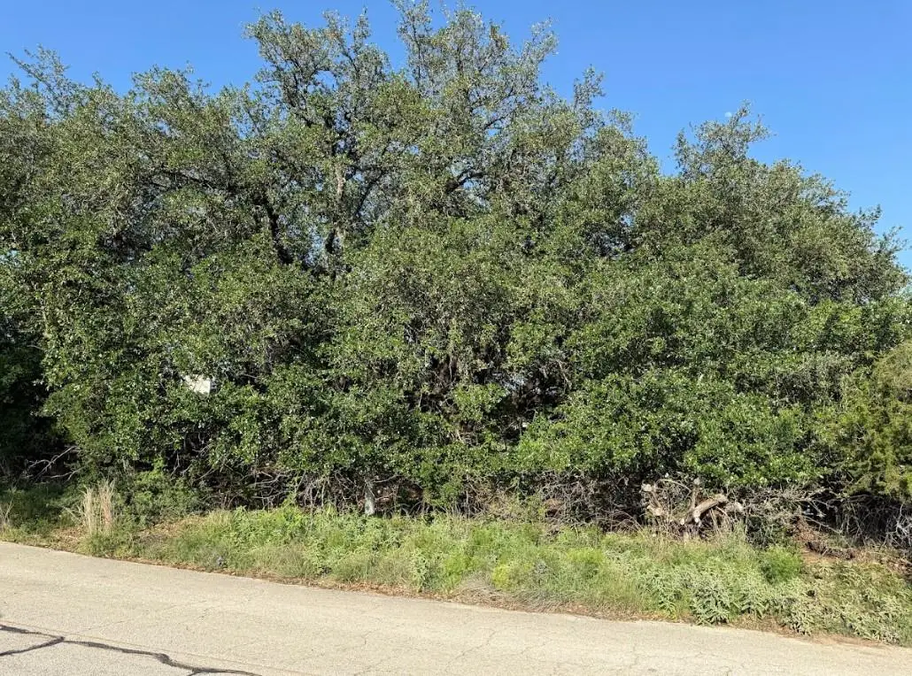 4209 Rockwood Dr, Lago Vista, TX 78645 - #1