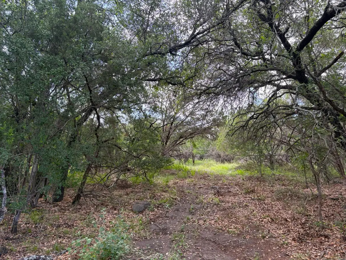 380 Sandy Mountain, Sunrise Beach Village, TX 78643 - #1