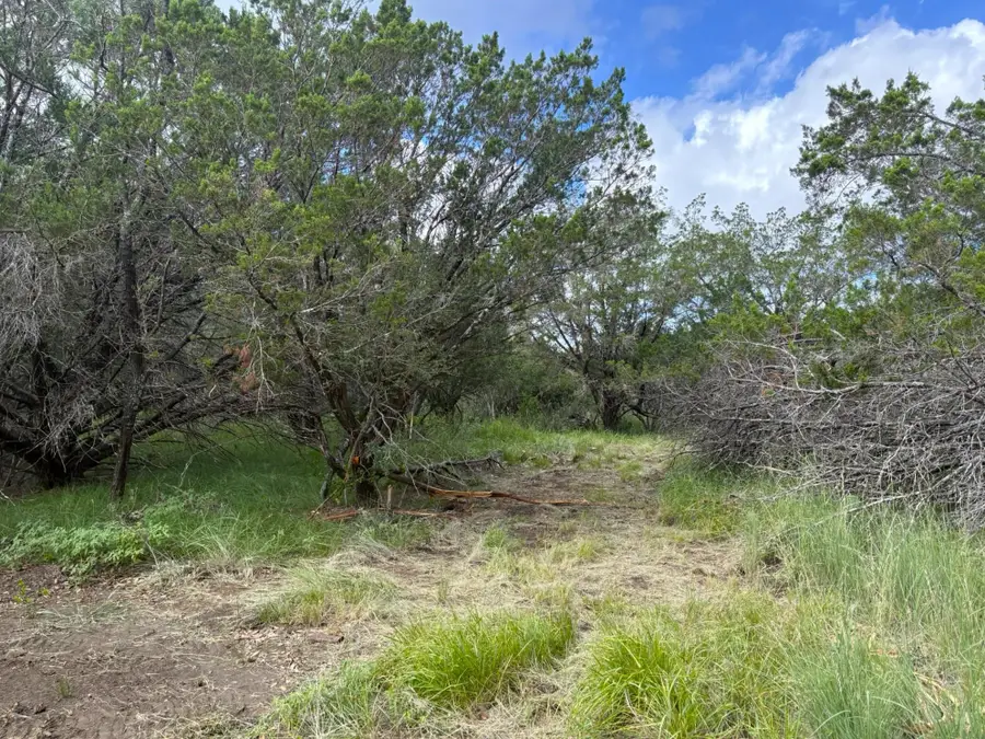 380 Sandy Mountain, Sunrise Beach Village, TX 78643 - #2