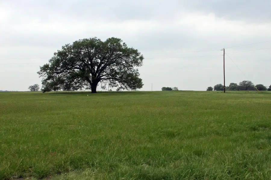 00 Brushy Branch Rd, Lockhart, TX 78644 - #2