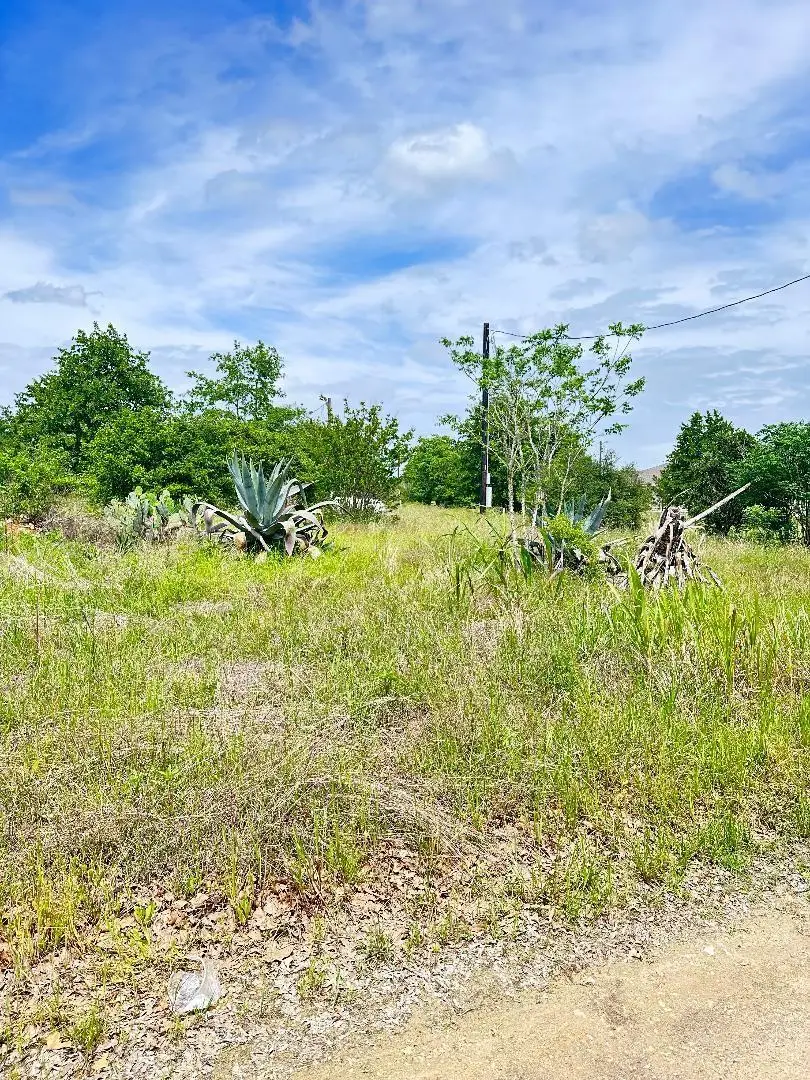 126 Wild Bird Loop, Smithville, TX 78957 - #1