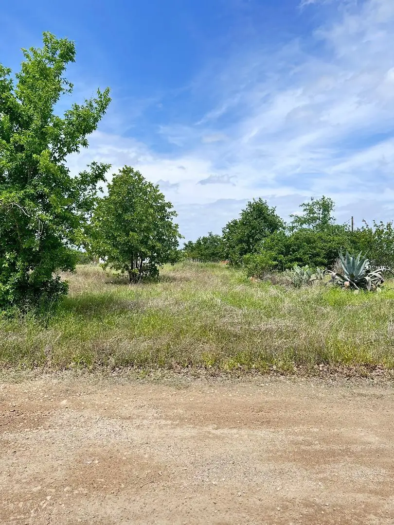 126 Wild Bird Loop, Smithville, TX 78957 - #2