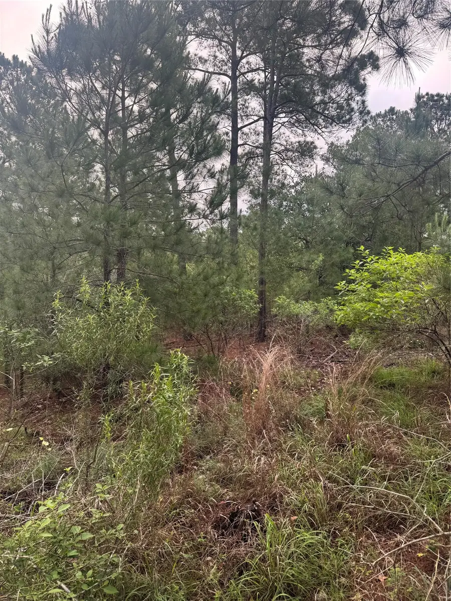 Lot 1490 Haleakala, Bastrop, TX 78602 - #3