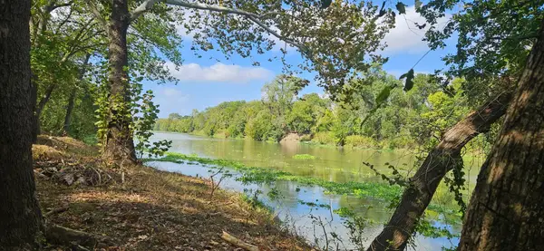 503 Colorado St, Smithville, TX 78957