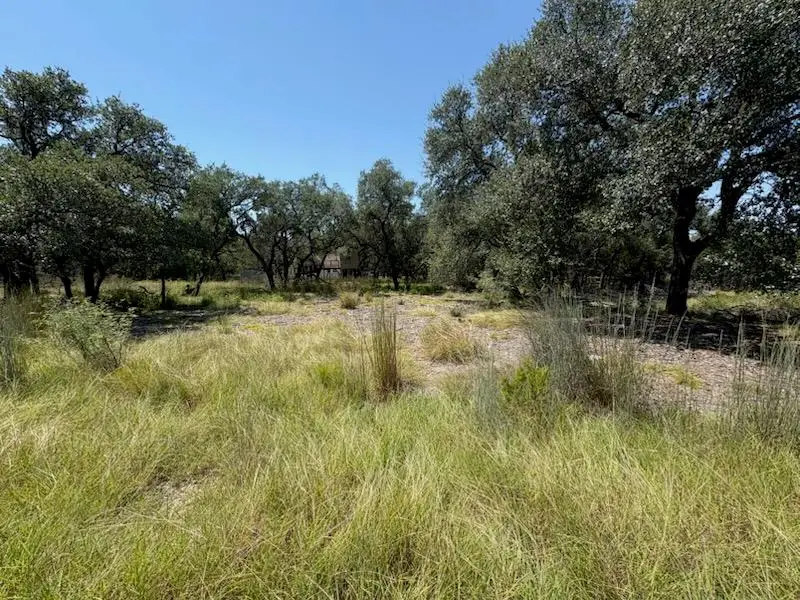 21913 Cardinal Ave, Lago Vista, TX 78645 - Image #2