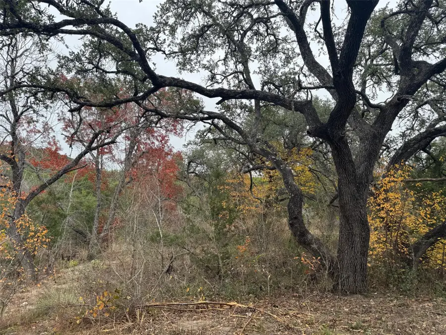 Lot 100 Montana Creek Xing, Marble Falls, TX 78654 - #3