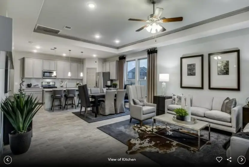 526 Rubber Tree Way, Buda, TX 78610 - #3