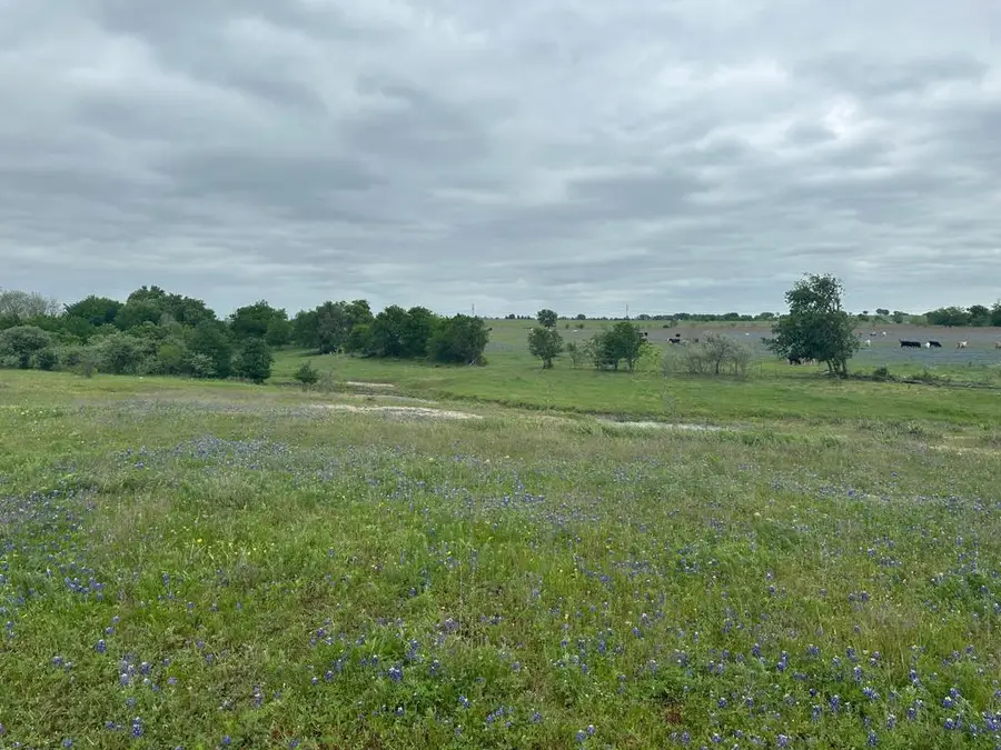 TBD Hackberry Rd, Salado, TX 76571 - #3