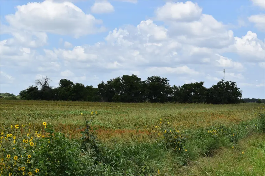 TBD County Road 109, Buckholts, TX 76518 - #3