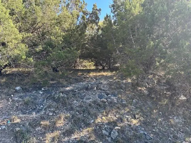 20607 High Dr, Lago Vista, TX 78645 - #3