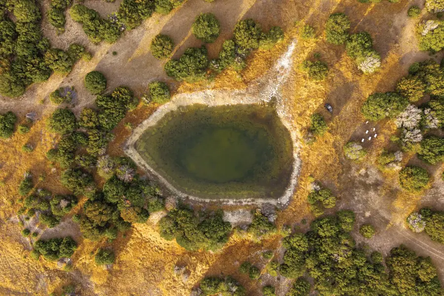 6729 Us Hwy 281 Highway, Lampasas, TX 76550 - #3