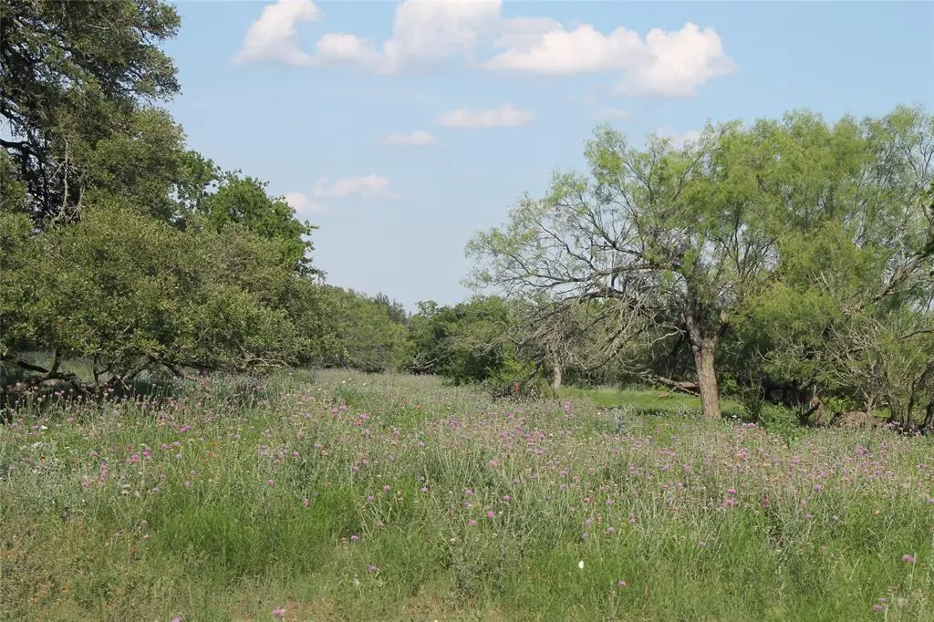 8200 County Road 200 Rte, Burnet, TX 78611 - #1