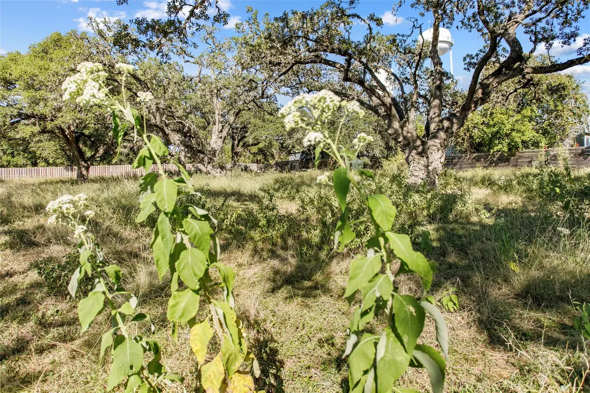 1420 Greenlawn Pkwy, Blanco, TX 78606 - #1
