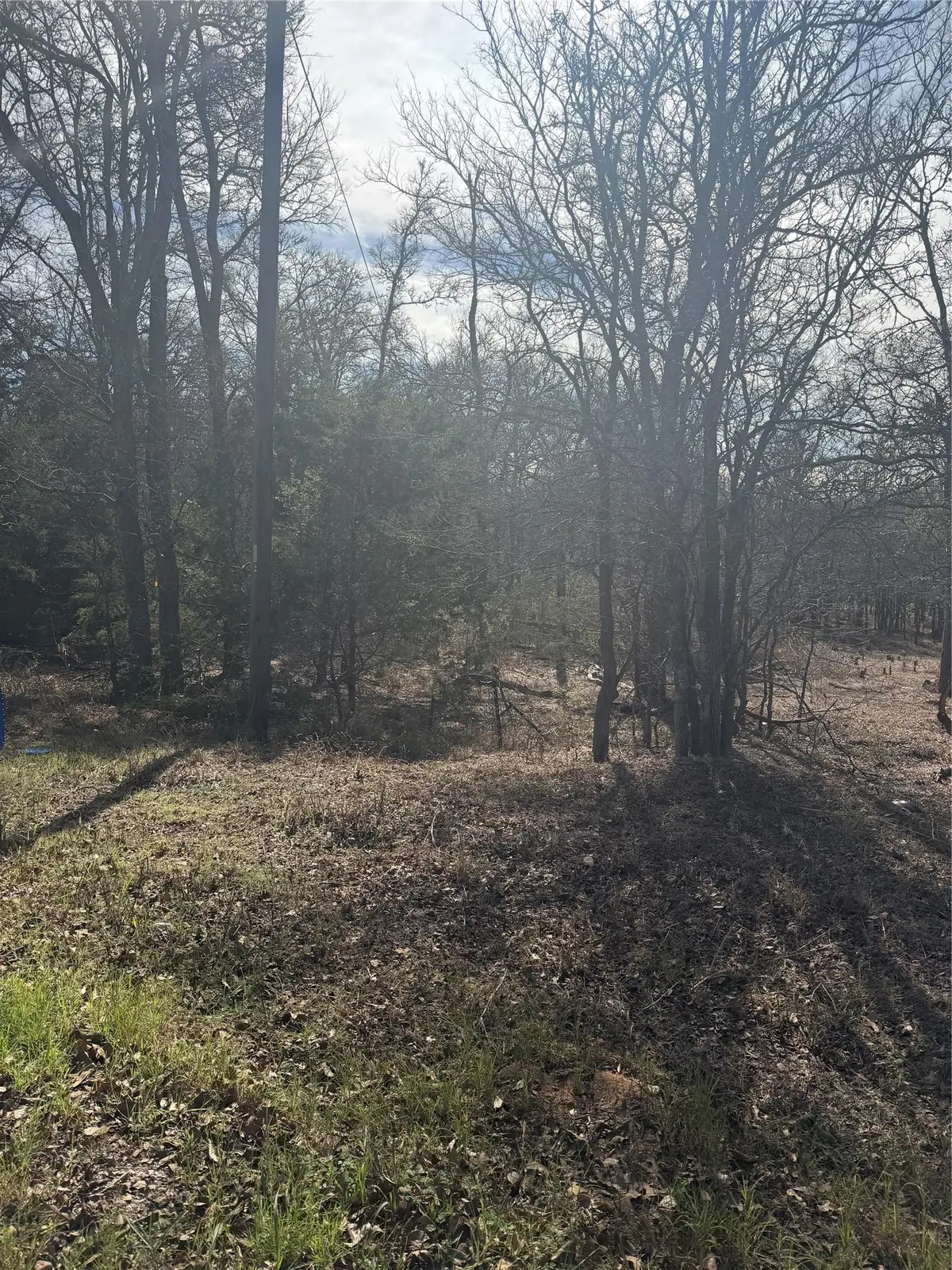 157 E Keanahalululu Ln, Bastrop, TX 78602 - #1