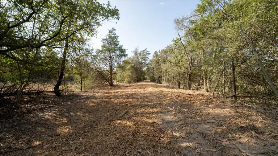 TBD TRACT 8 Cedar Rock Rd, Rosanky, TX 78953 - Image #2
