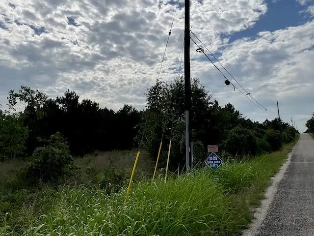 TBD County Rd., Lot 20-c Rd, Bastrop, TX 78602 - #2