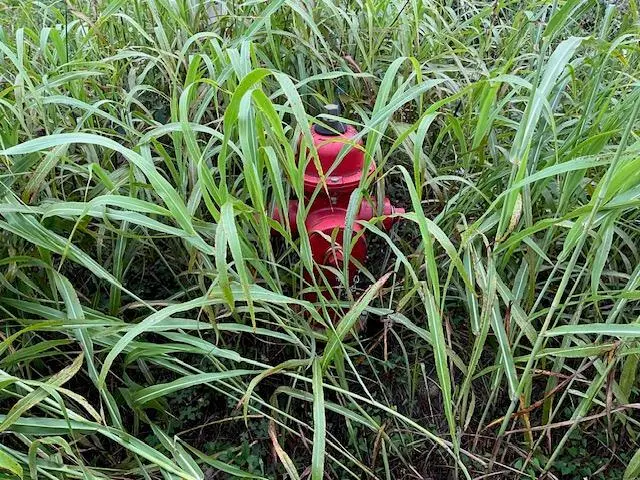 TBD County Rd., Lot 20-c Rd, Bastrop, TX 78602 - #3