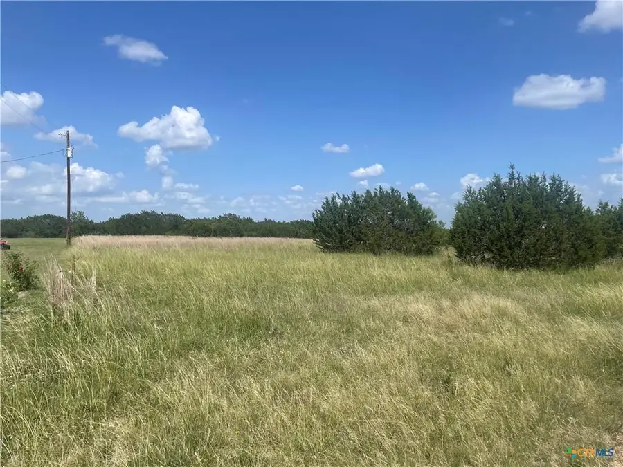 Lot 9 Misty Woods, Bertram, TX 78605 - #3
