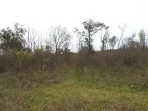 394 Fm 112, Thrall, TX 78947 - #2