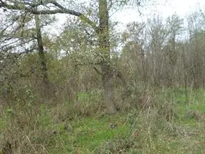 394 Fm 112, Thrall, TX 78947 - #3