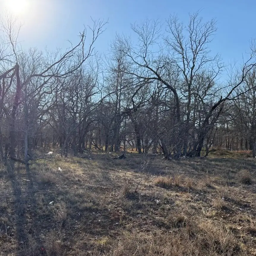 133 Chandler Cv, Cedar Creek, TX 78612 - #3