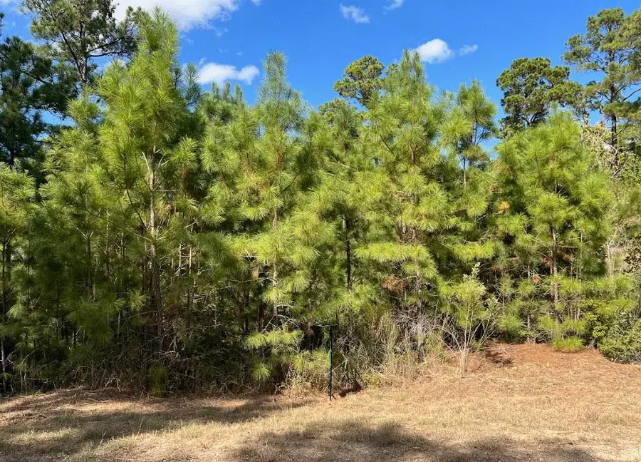 Lot 986 Kailua L Ln, Bastrop, TX 78602 - #2