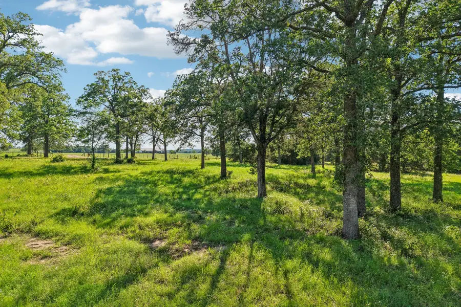 6 Acres County Road 211, Giddings, TX 78942 - #3