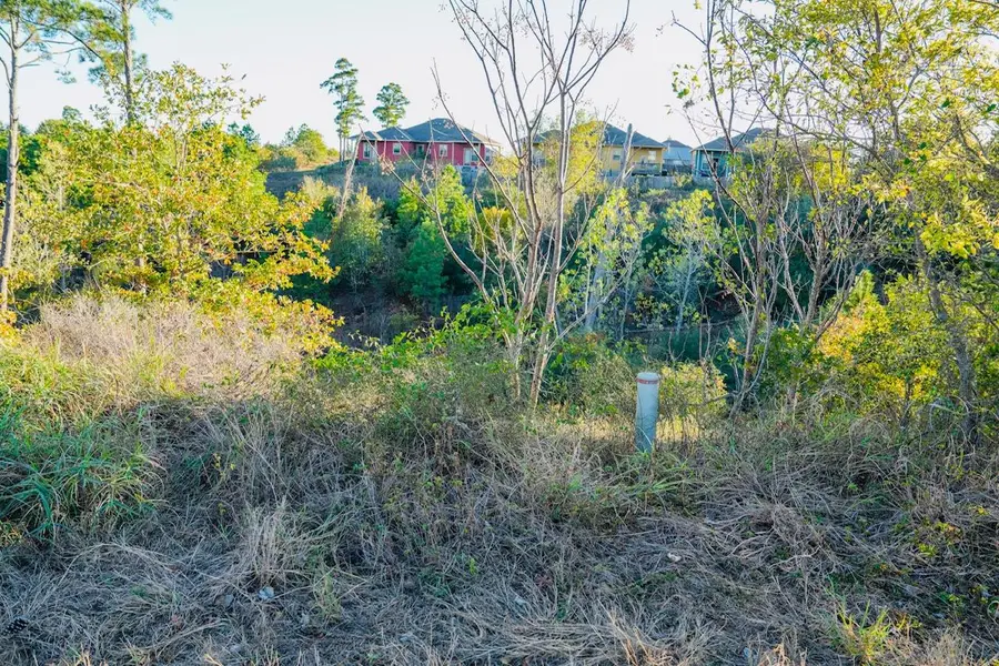 Lot132 Pahala Ct, Bastrop, TX 78602 - Image #2