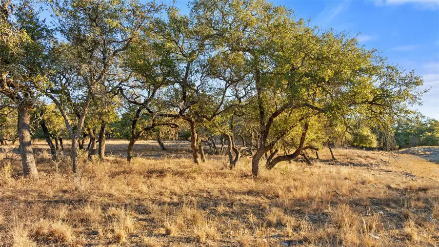 1422-10 Rm 2766, Johnson City, TX 78636 - #2