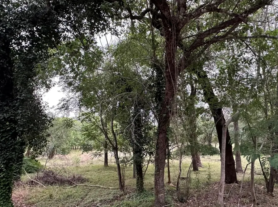 911 Penion Dr, Austin, TX 78748 - #2