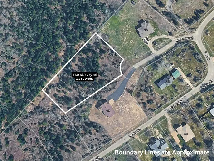 TBD Blue Jay Rd, Bastrop, TX 78602 - #2