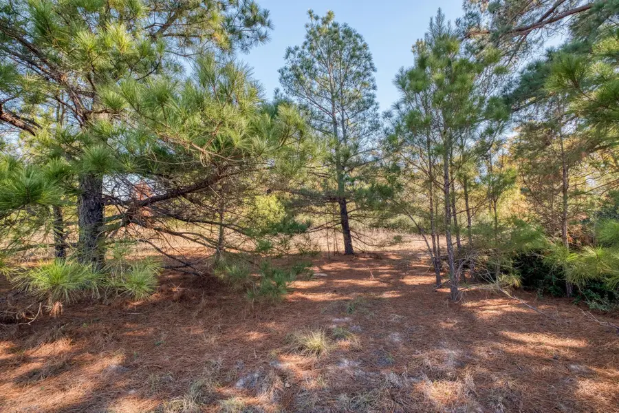 000 Dunbar Rd (tract 3) Rd, McDade, TX 78650 - Image #3