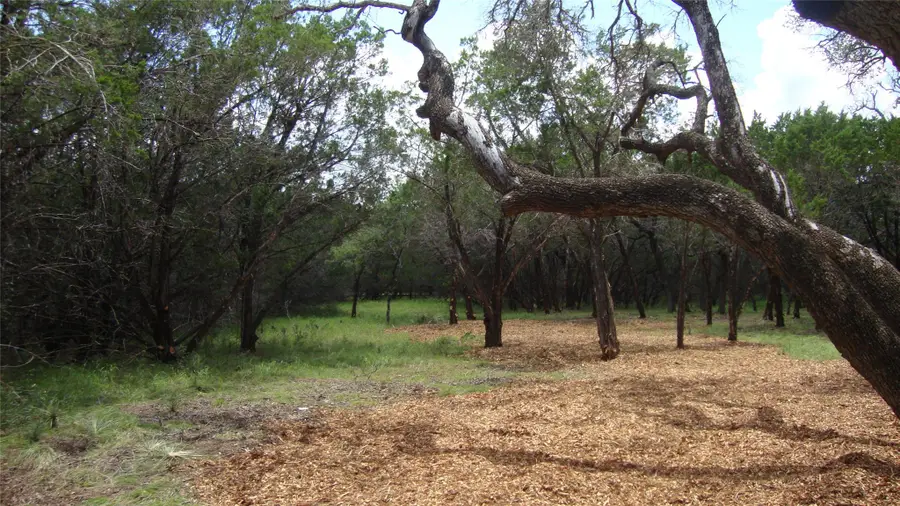 36 Travis Oaks Dr, Marble Falls, TX 78654 - #3