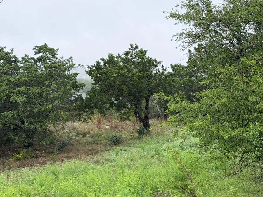 17408 Lake Wood Cir, Dripping Springs, TX 78620 - #2