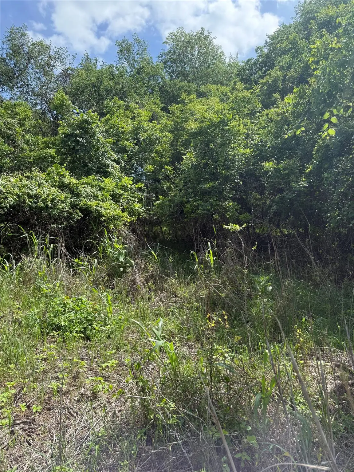 Lot 959 Riverside Dr, Bastrop, TX 78602 - #1