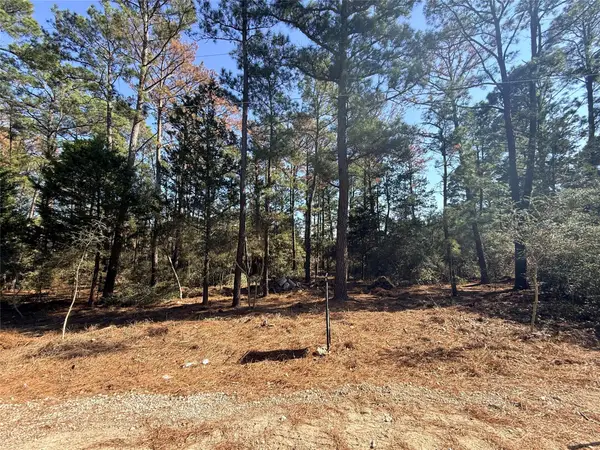Lot 59 S. Hill Ridge Rd, Bastrop, TX 78602