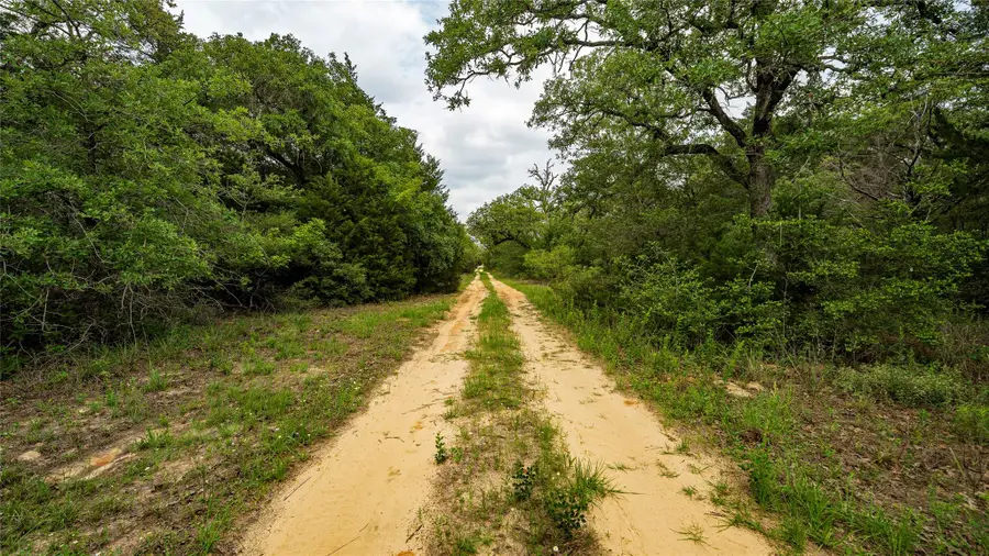 5632 County Road 317, Caldwell, TX 77836 - #2