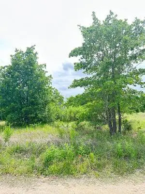 138 Wild Bird Loop, Smithville, TX 78957 - #3