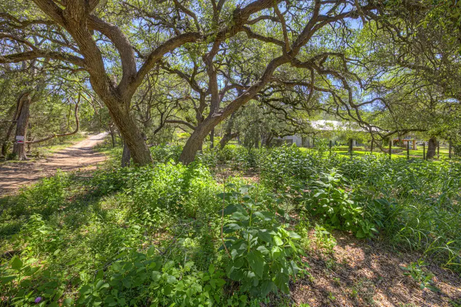 130 Lazy Leaf, Wimberley, TX 78676 - #2