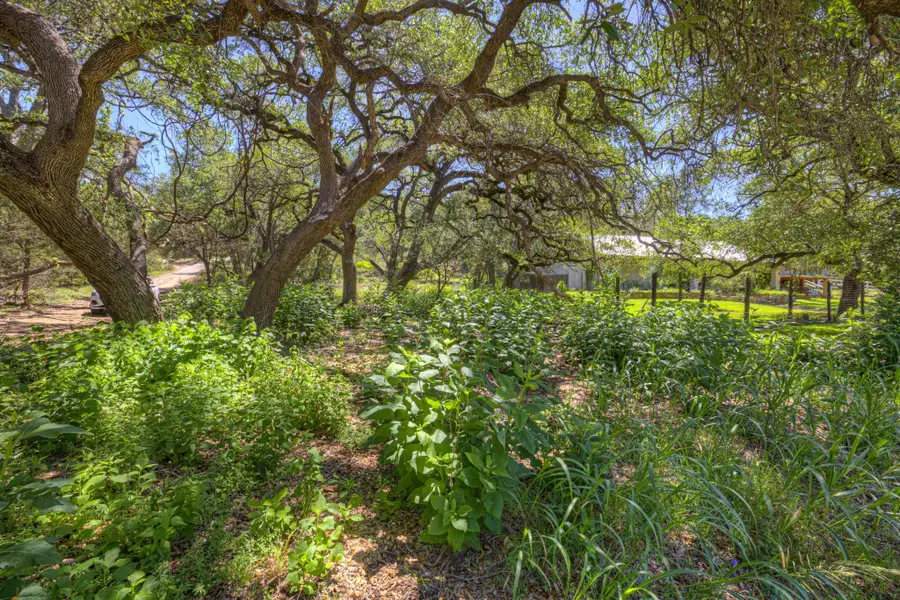 130 Lazy Leaf, Wimberley, TX 78676 - #3