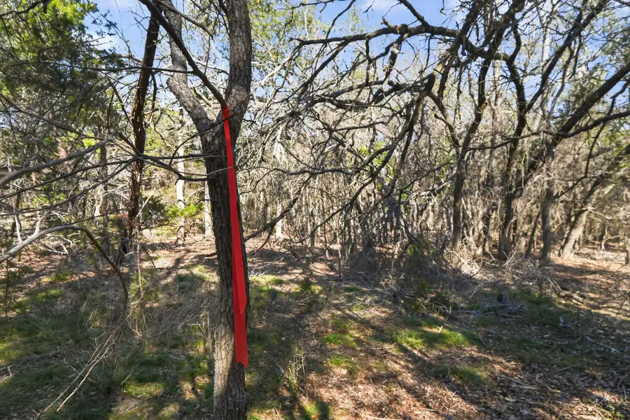 00 Royal St, Salado, TX 76571 - #2