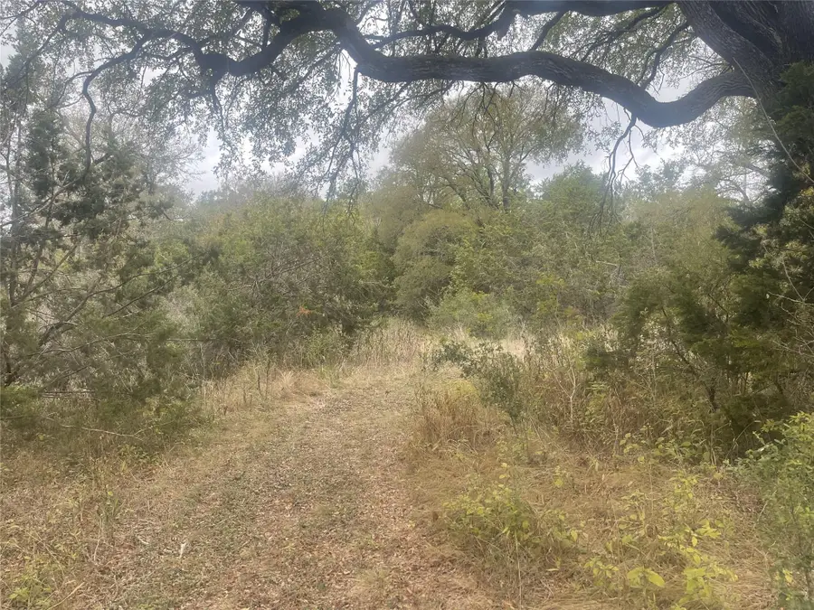 2171 Onion Creek Bnd, Driftwood, TX 78619 - Image #2