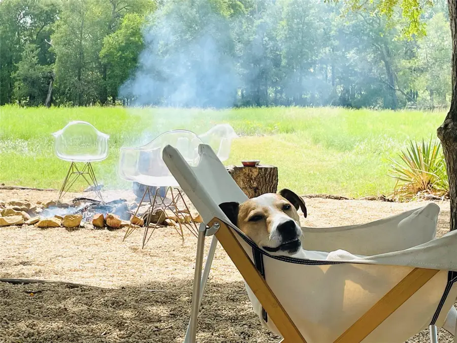 3000 Pettytown Rd, Dale, TX 78616 - #2