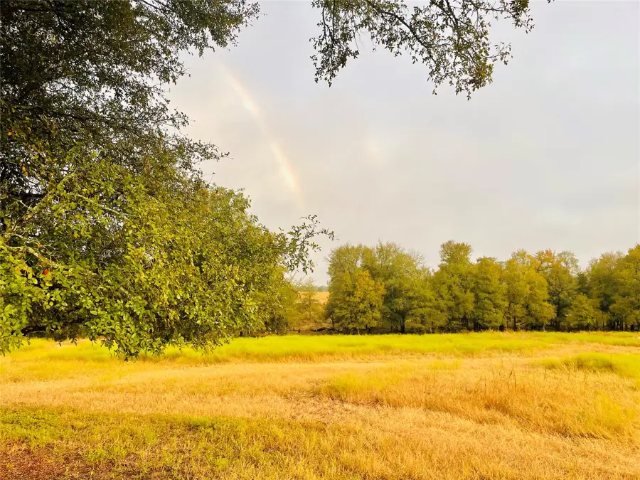 3000 Pettytown Rd, Dale, TX 78616 - #3