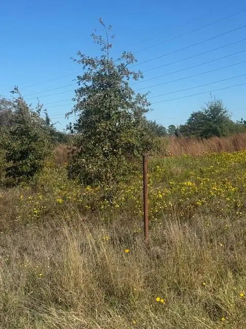 329 Cardinal Dr, Paige, TX 78659 - Image #2