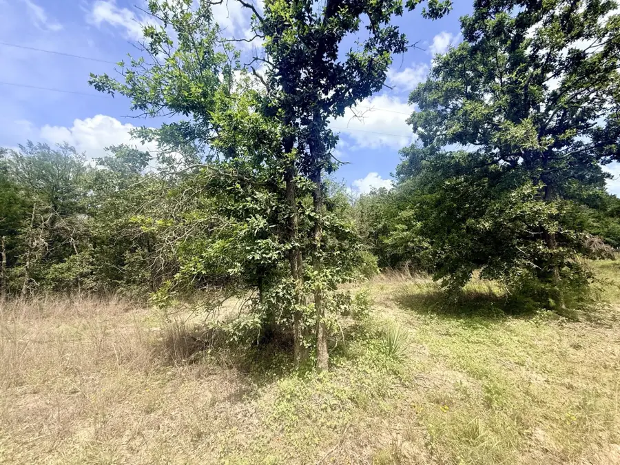 TBD County Road 337, Lexington, TX 78947 - #3