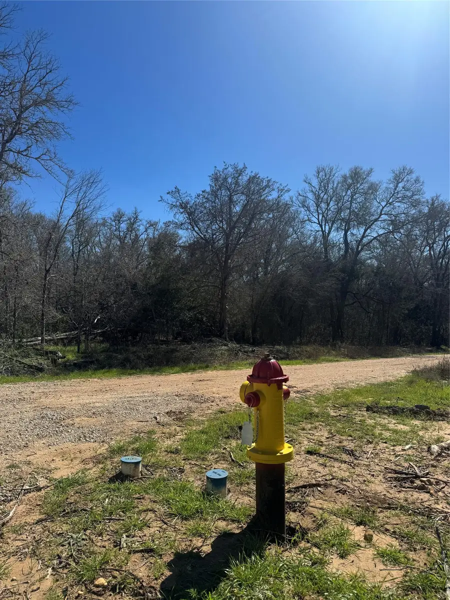 Lots 320 and 321 Kolekole Ln, Bastrop, TX 78602 - #3