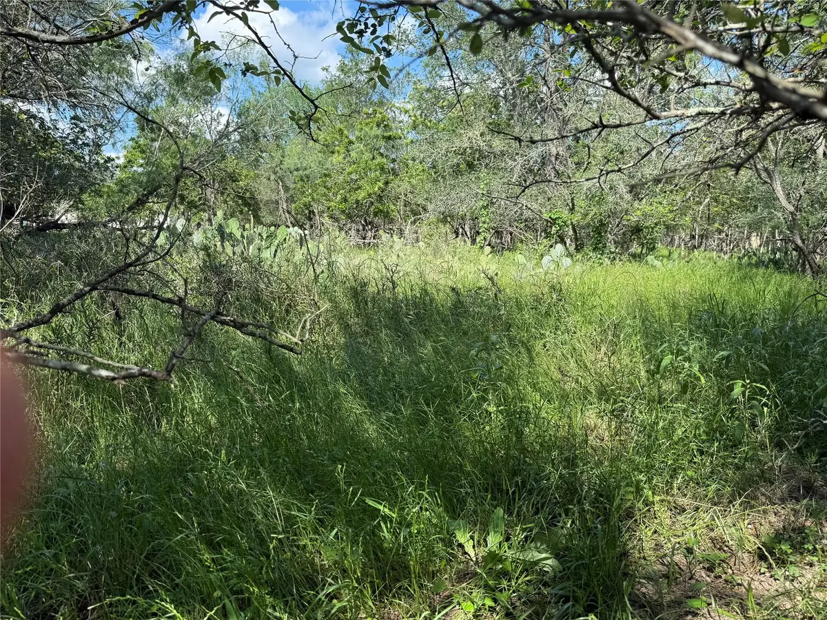 232 Mokulua Ln, Bastrop, TX 78602 - #1