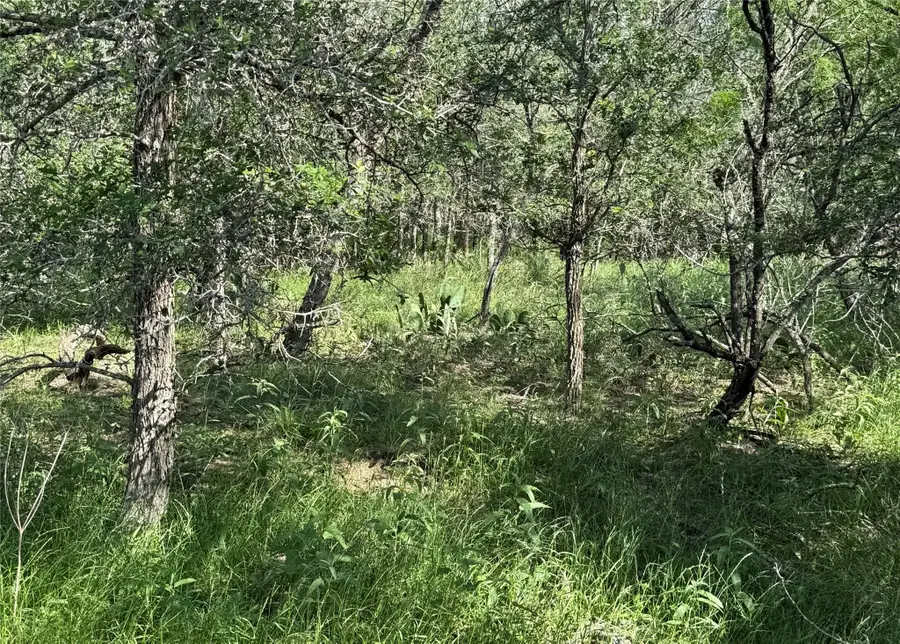 232 Mokulua Ln, Bastrop, TX 78602 - #2